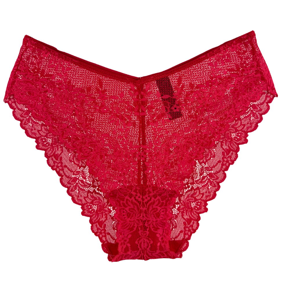 Natori Heavenly High Cut Bikini