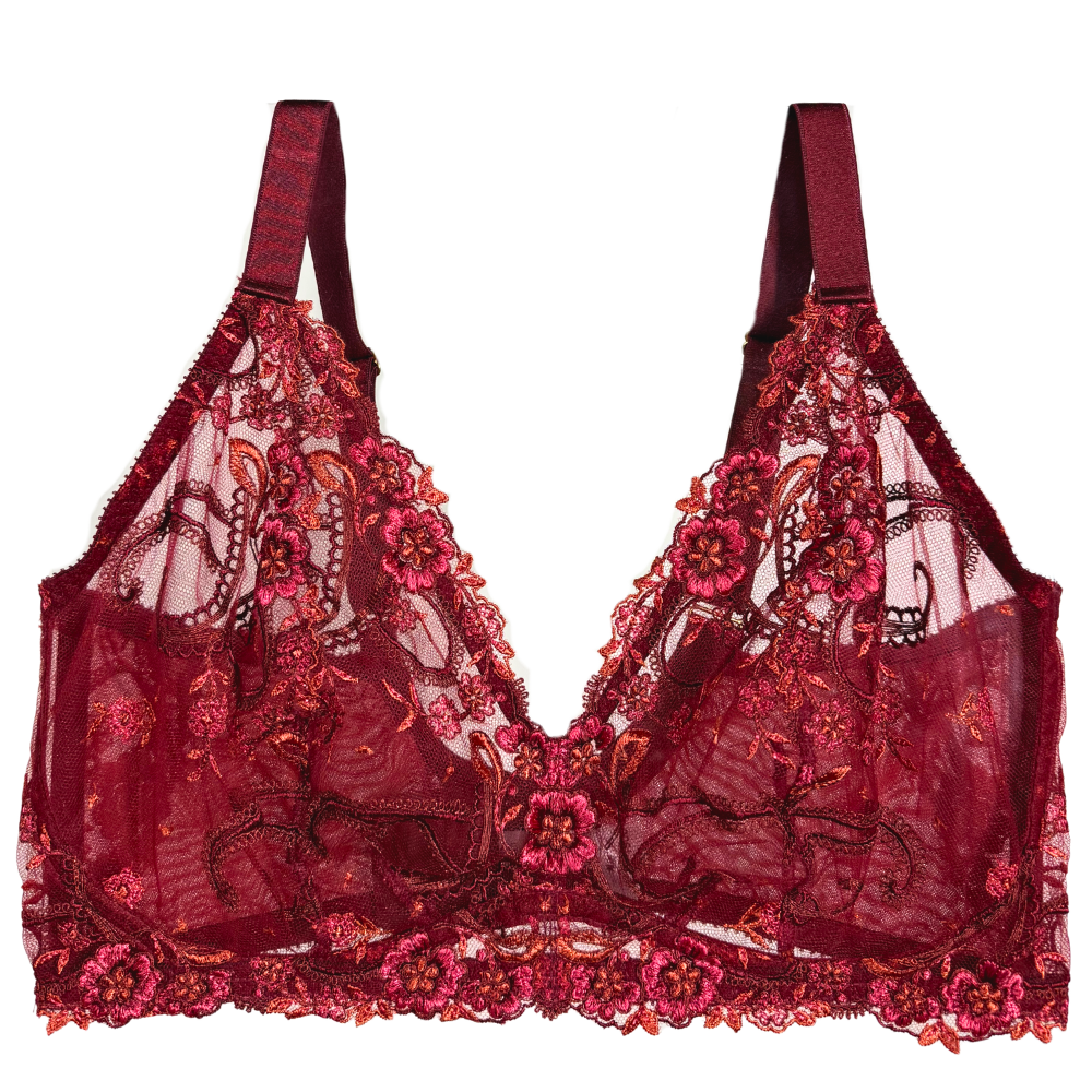 red lace bralette with mesh and floral embroidery against a white background.