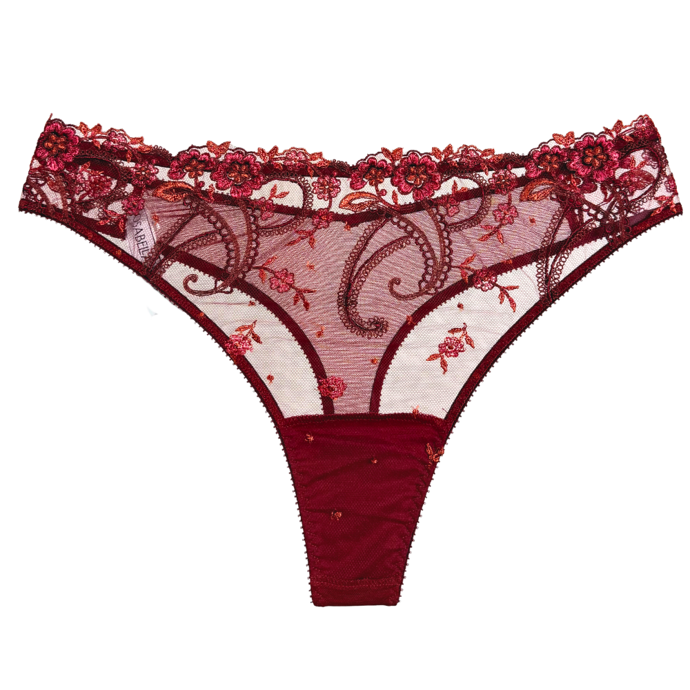 red lace mesh thong with floral embroidery against a white background.