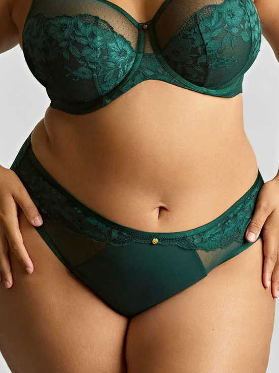 Sculptresse Josephine High Leg Brief