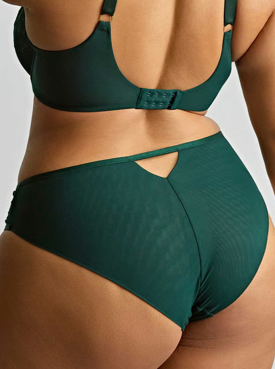 Sculptresse Josephine High Leg Brief