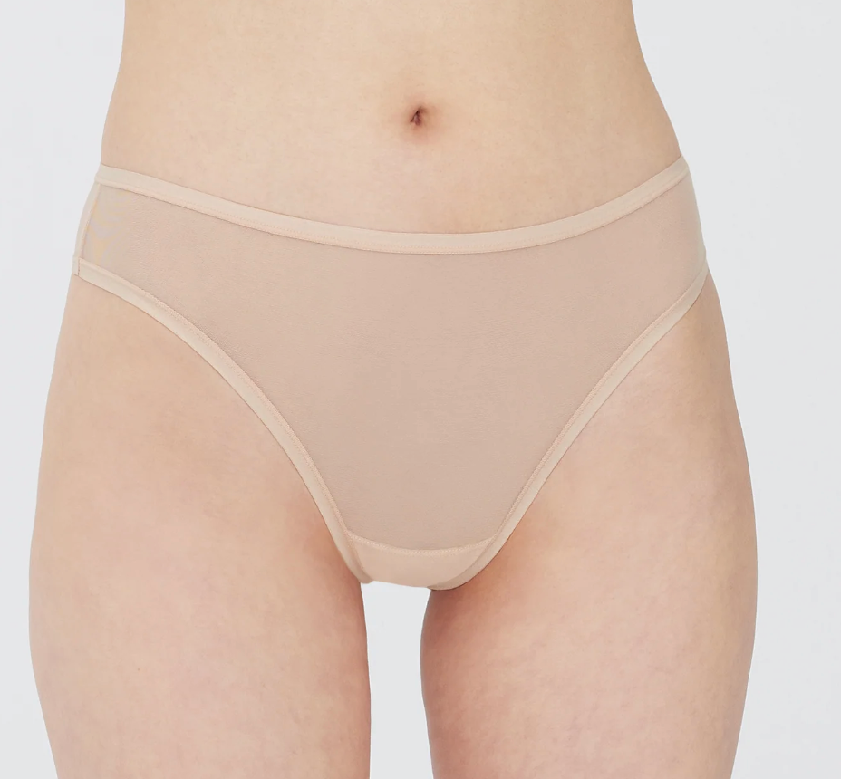 A close-up of a model's lower torso wearing a pair of sheer, nude-beige mesh panties with solid beige trim, set against a plain light gray background.