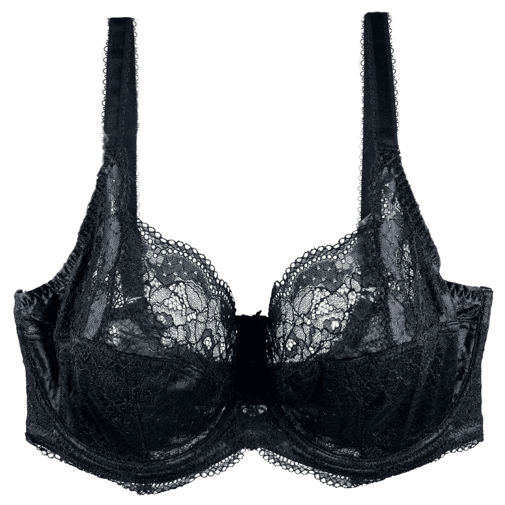 Panache clara full cup bra in charcoal black, close-up on white background.